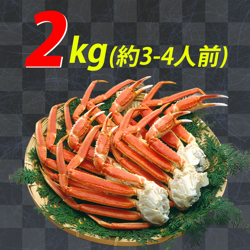 25th ホイル　まとめ売り　540枚 Kawasaki Ninja250SL/Z250SL（JBK-BX250A/JBK-BR250E）POWERBOX OVAL